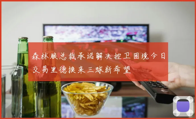 森林狼总裁承诺解决控卫困境今日交易里德换来三球新希望